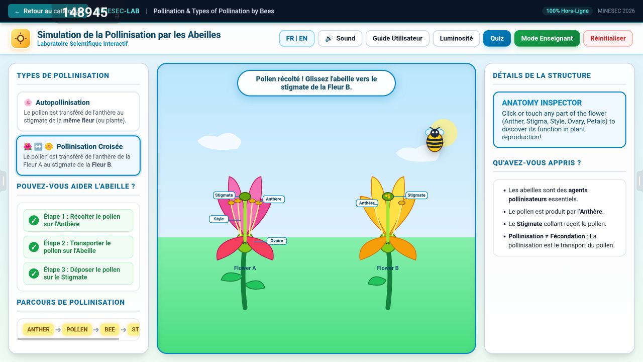 Screenshot from a2bf5682ef2d896d